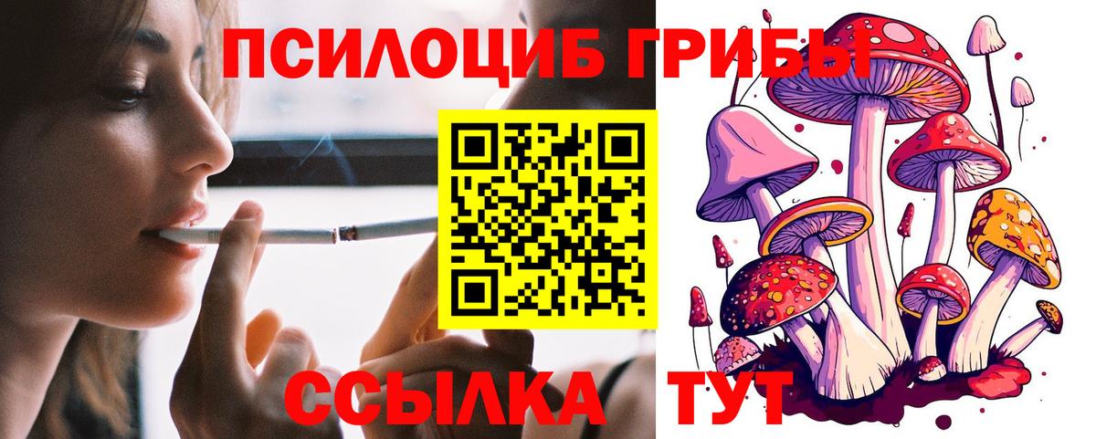 Псилоцибиновые грибы ЛСД  Псилоцибиновые грибы ЛСД  сколько стоит  Вход с VPN  Ивантеевка 